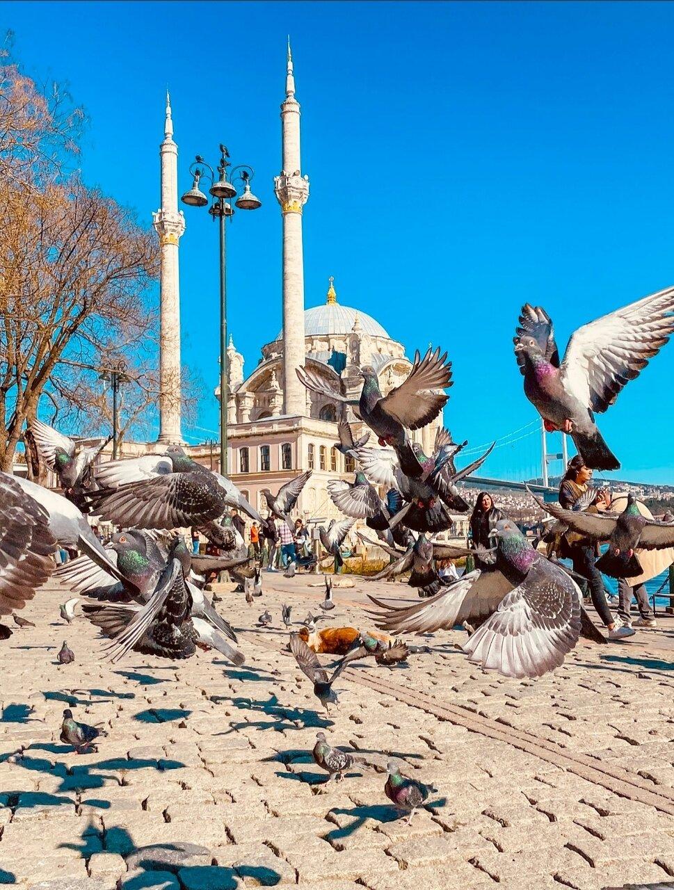 Ortakoy