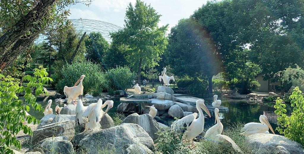 Bursa Zoo