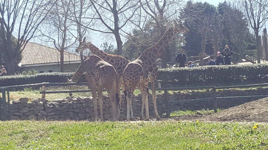 Bursa Zoo