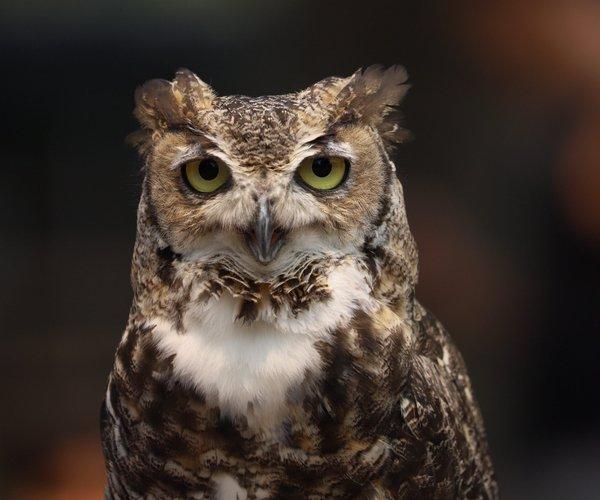 Sacramento Zoo