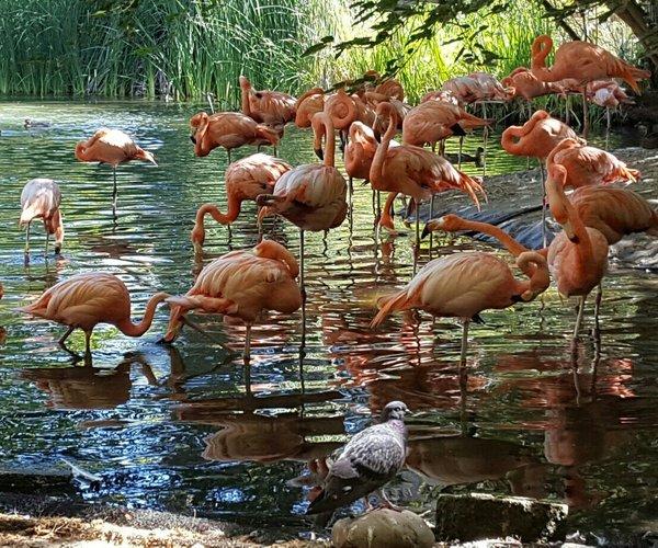 Sacramento Zoo