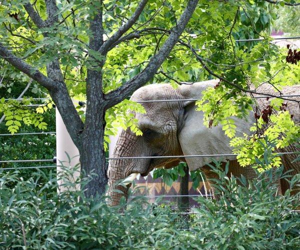 Cleveland Metroparks Zoo