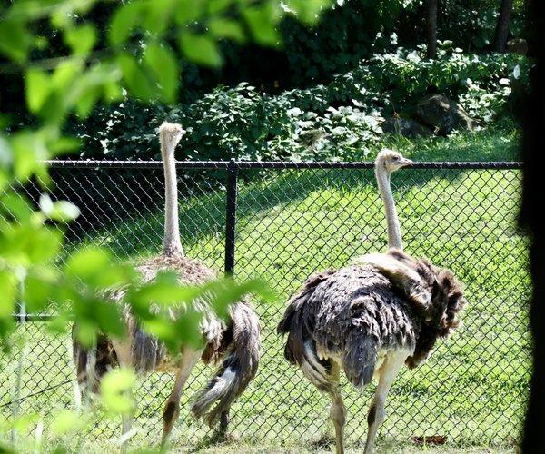 Cleveland Metroparks Zoo