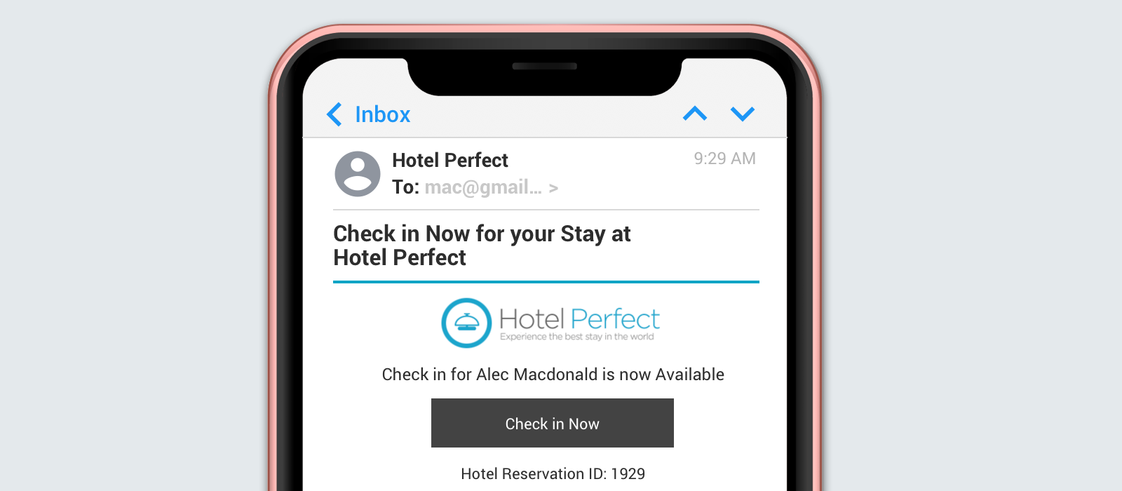 Arrival and Hotel Check-in