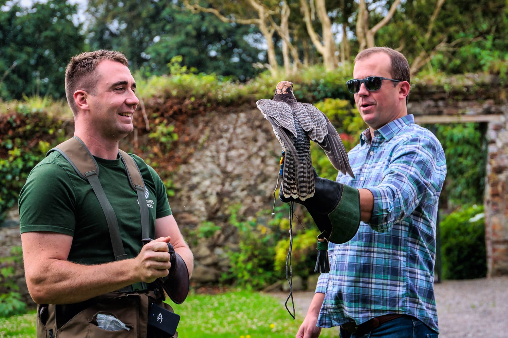 Killarney Falconry