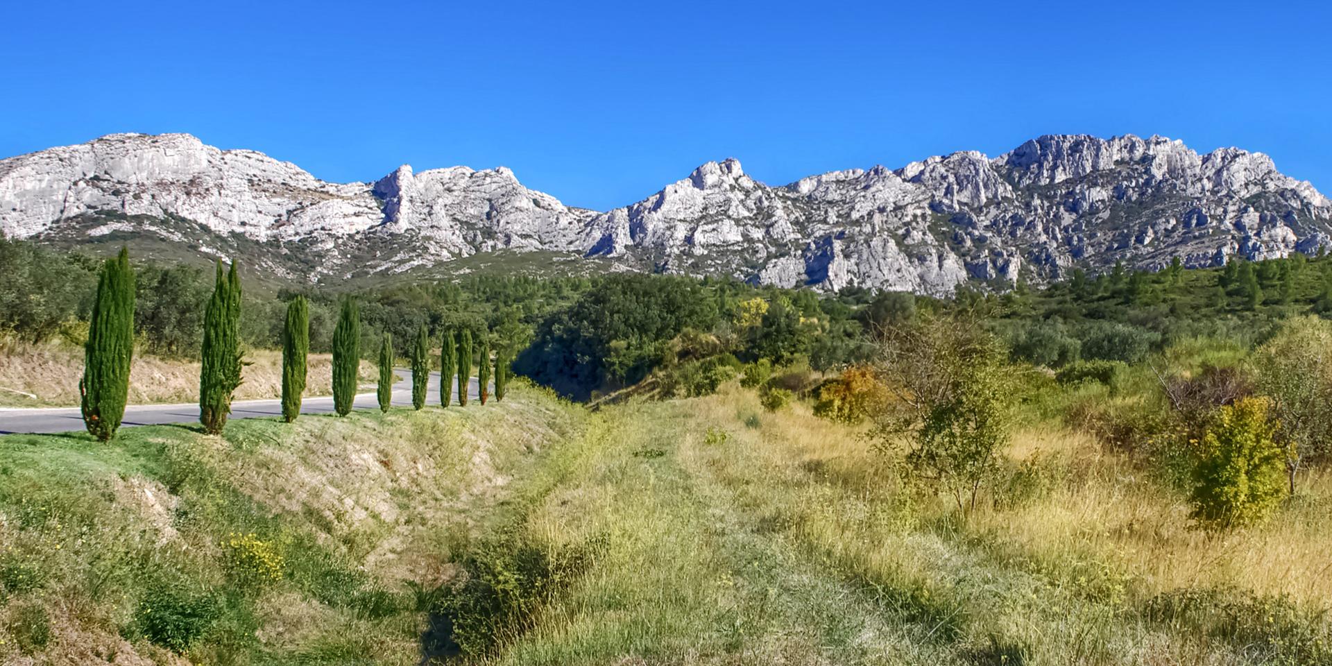 Alpilles Regional Natural Park