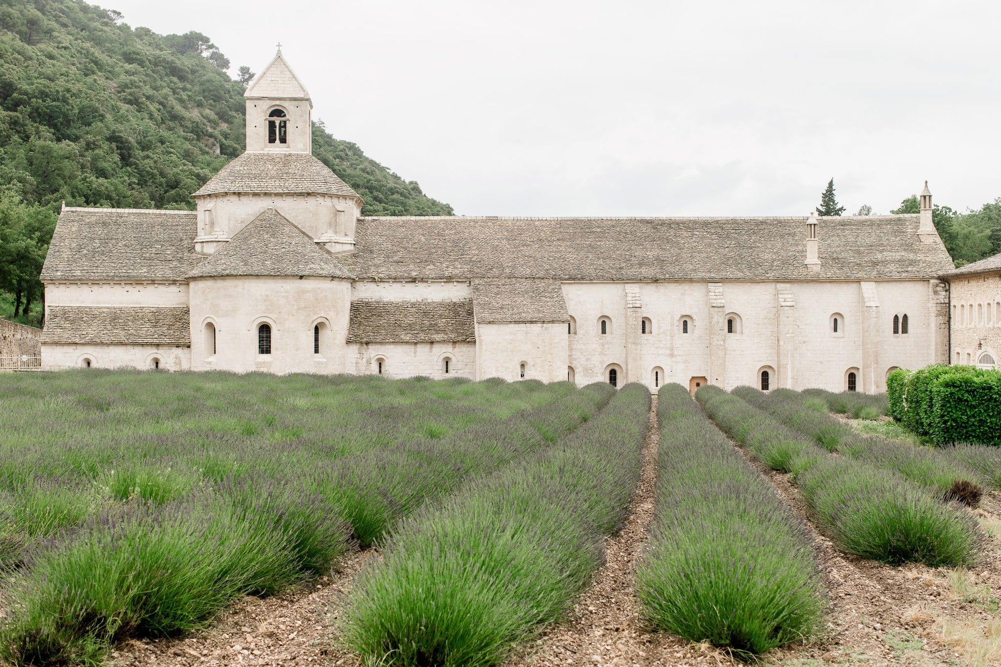Sénanque Abbey