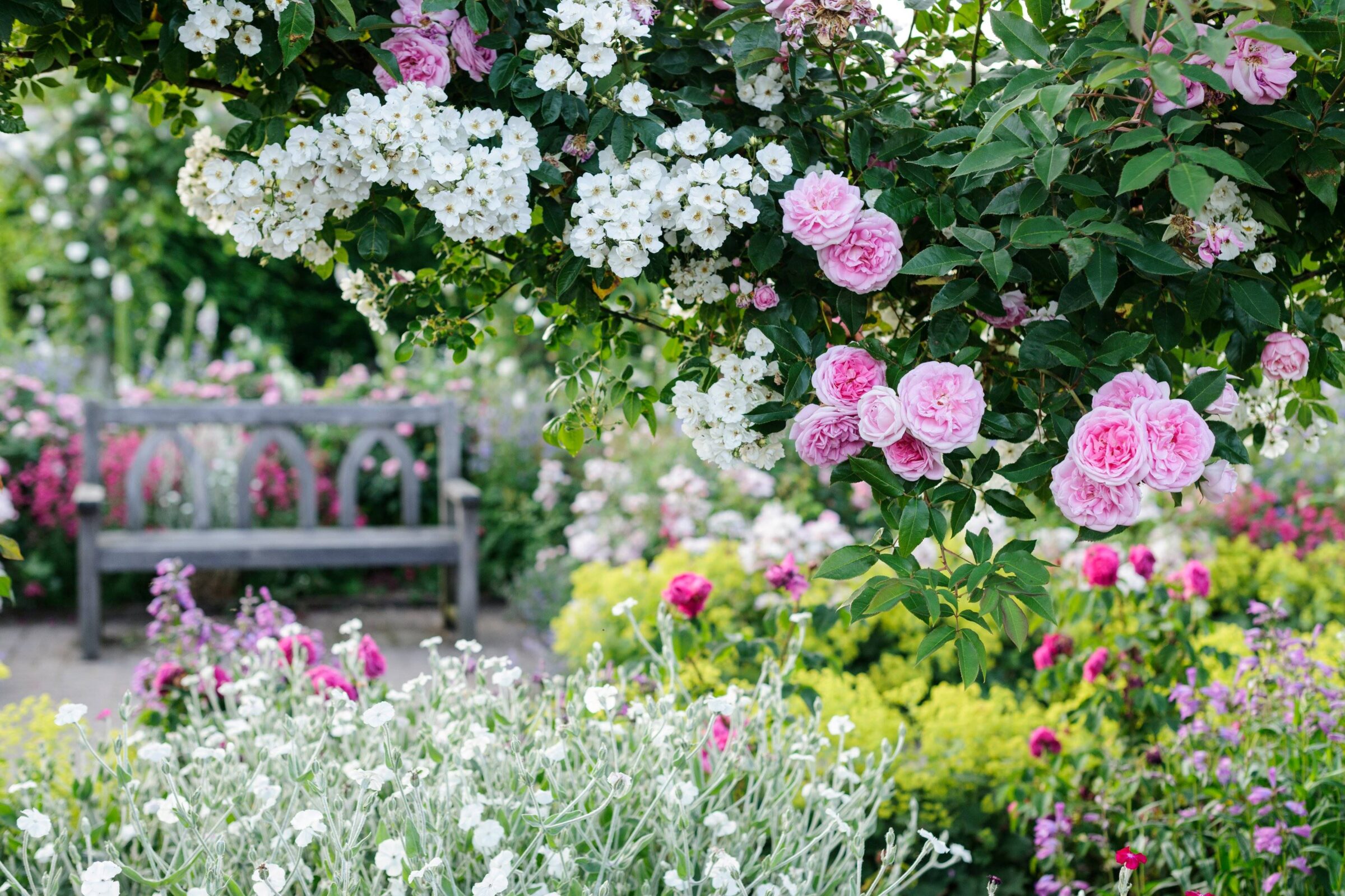 English Garden