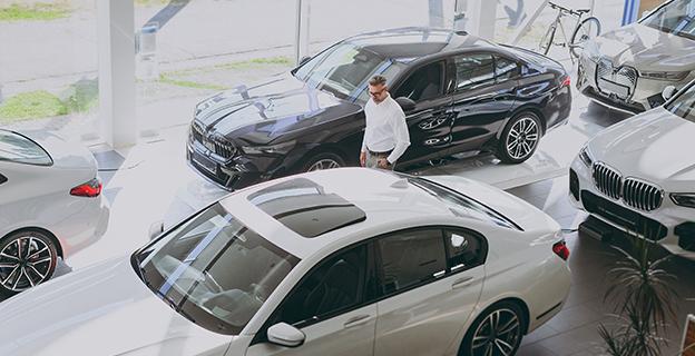 Car Dealership Visit