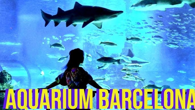 L’Aquàrium de Barcelona