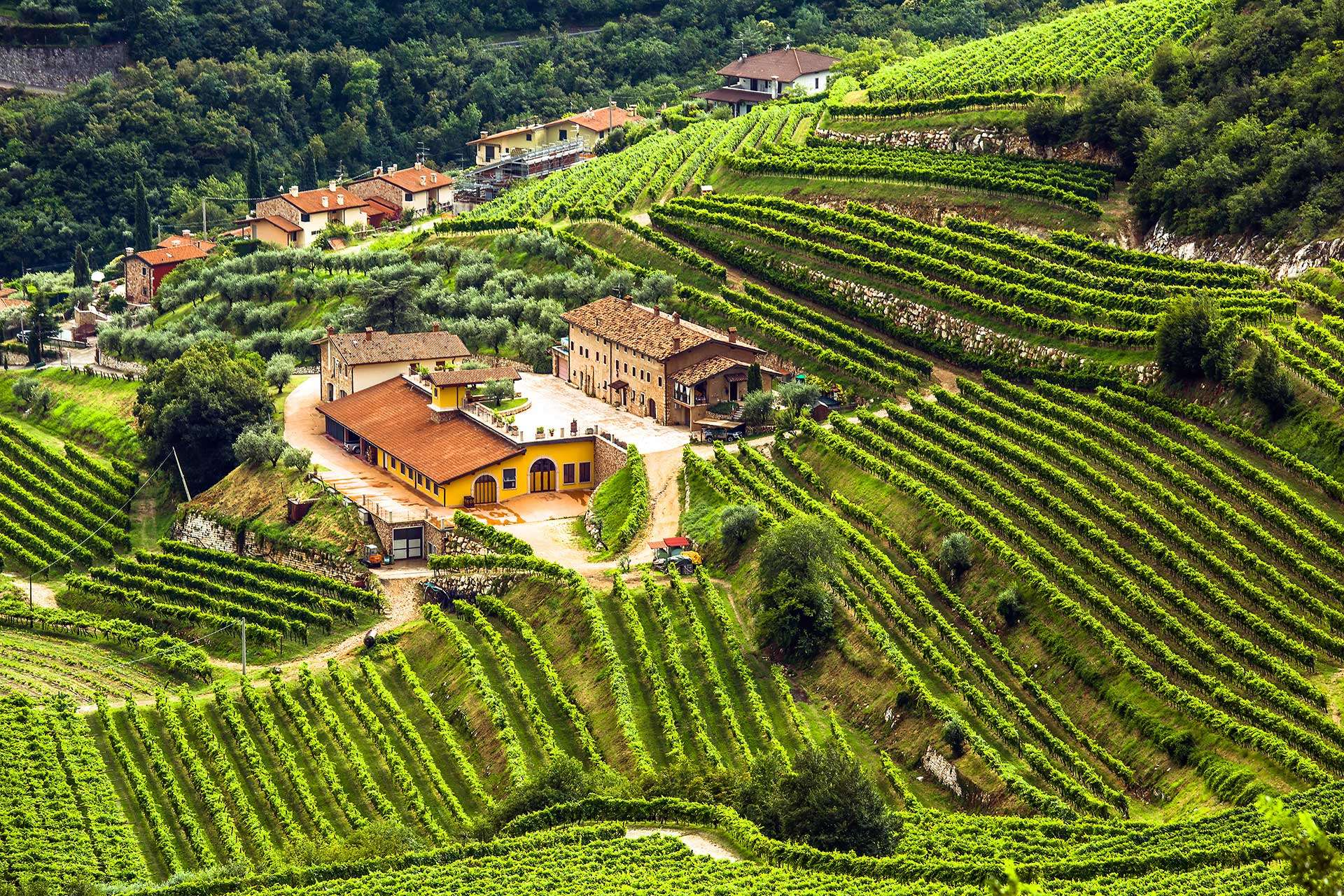 Valpolicella Wine Region