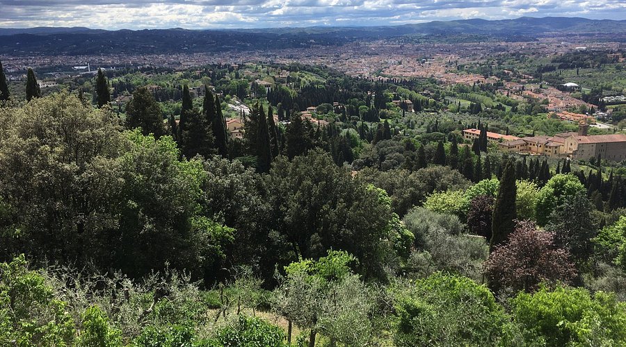 Fiesole Hills