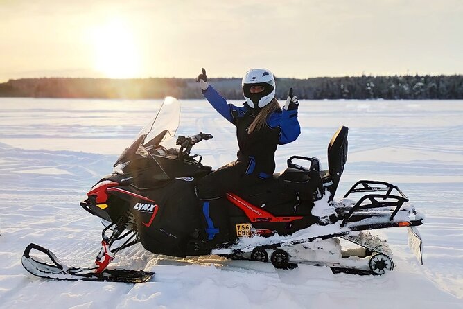 Wildlife Safari Rovaniemi
