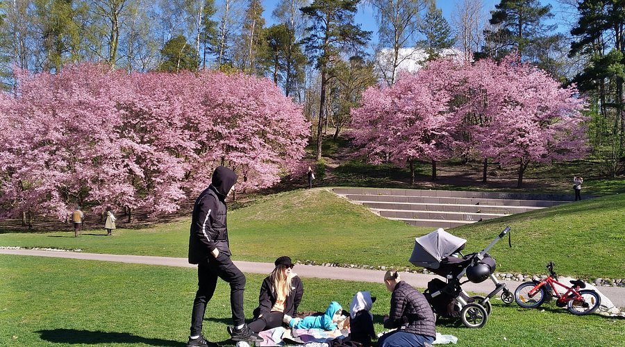 Töölönlahti Bay Park