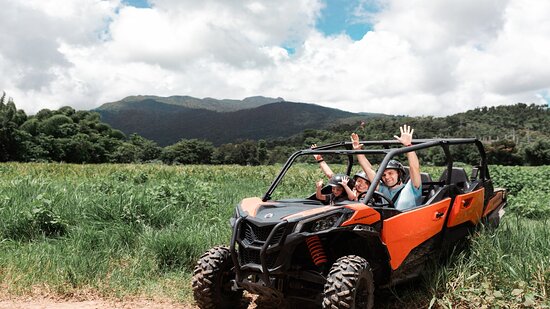 Action Forest Adventure Park