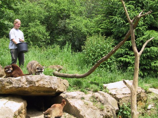 حديقة الحيوان باد ميرجنتهايم