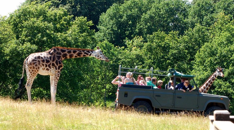 منتزه سفاري ريفسكوب