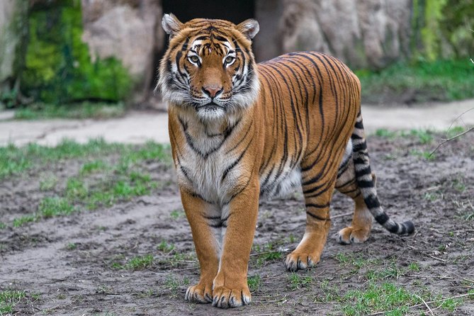 Prague Zoo