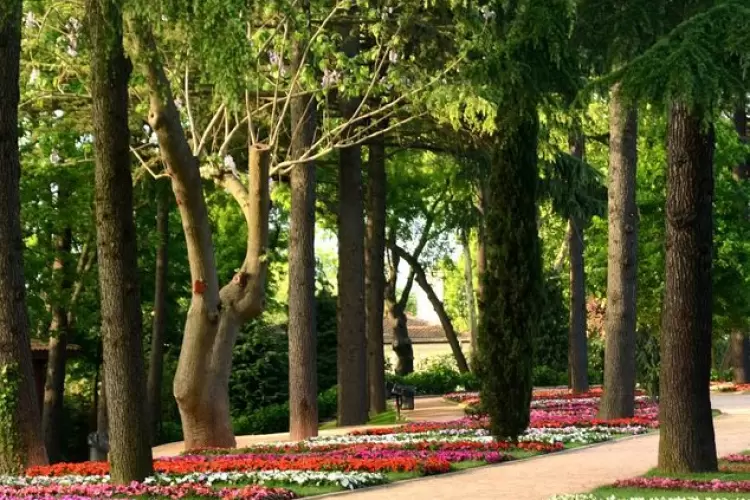 Emirgan Park