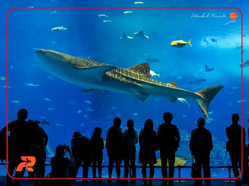 Istanbul Aquarium