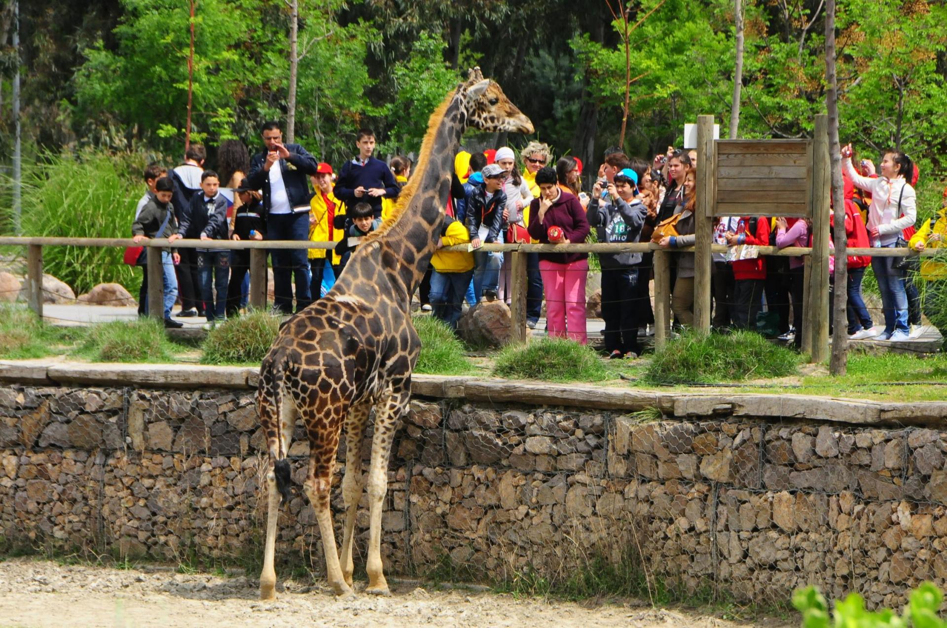 Izmir Wildlife Park