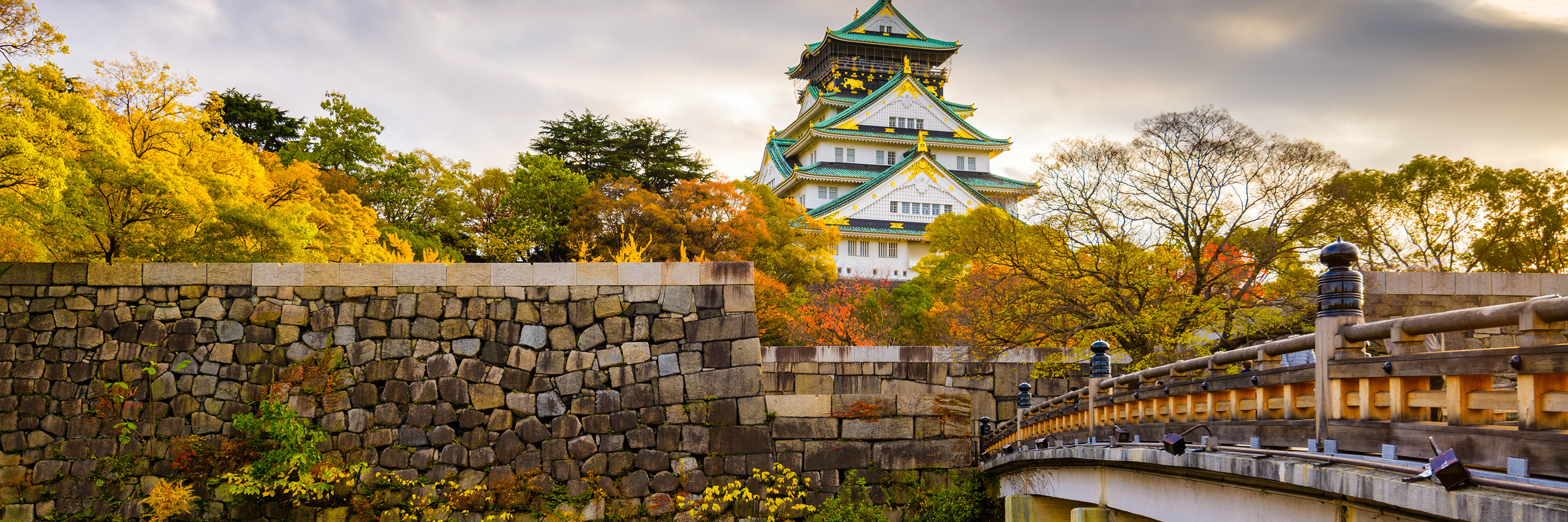 Farewell Dinner in Osaka