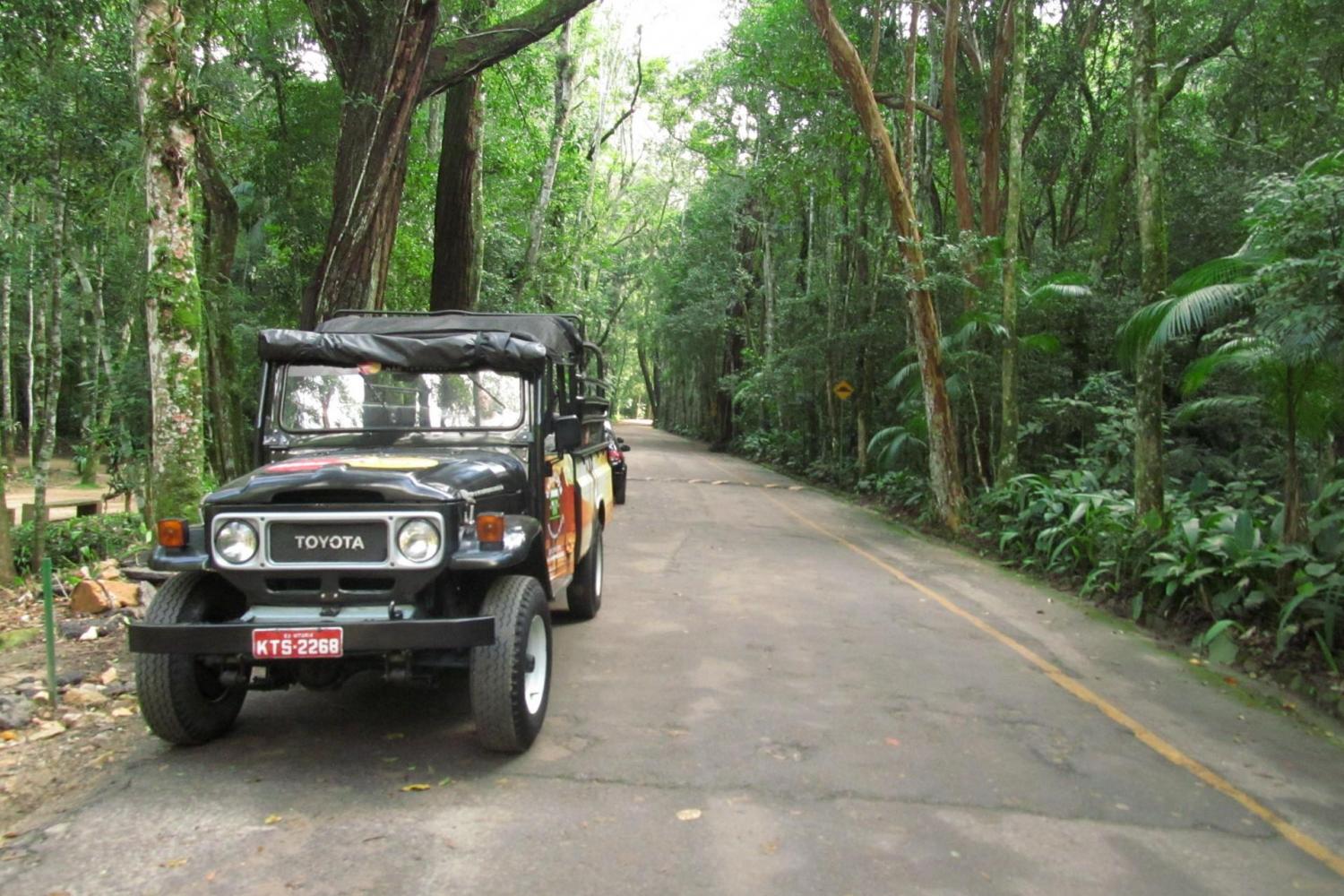 Tijuca National Park
