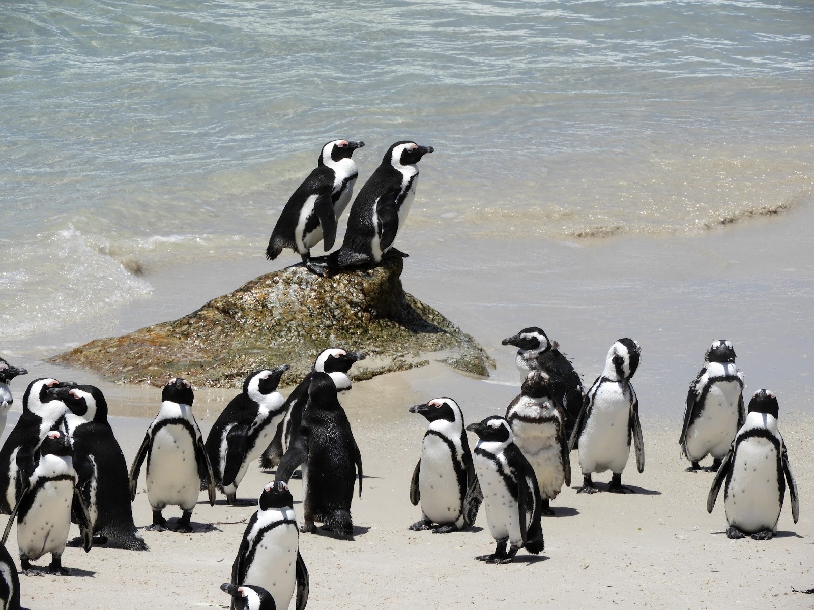 Cape of Good Hope