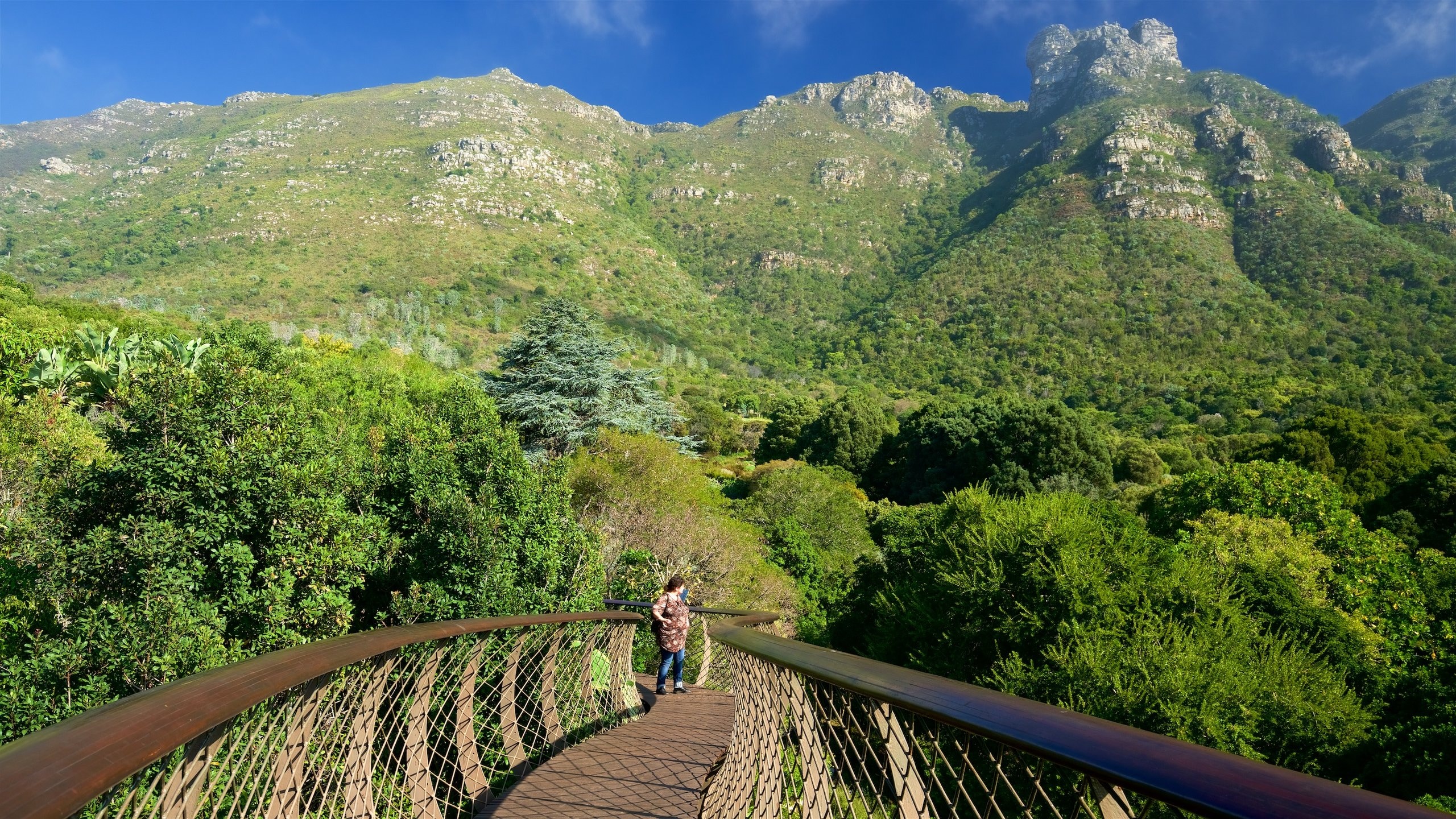 Kirstenbosch National Botanical Garden