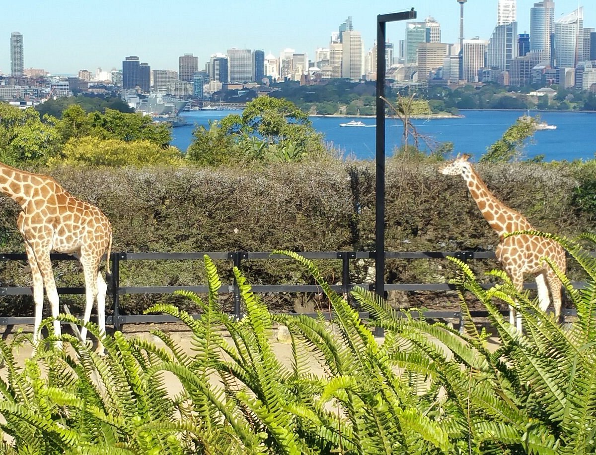 Taronga Zoo Sydney