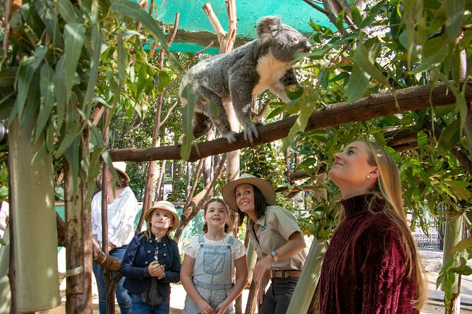 Currumbin Wildlife Sanctuary
