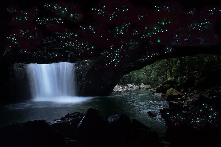 Springbrook National Park