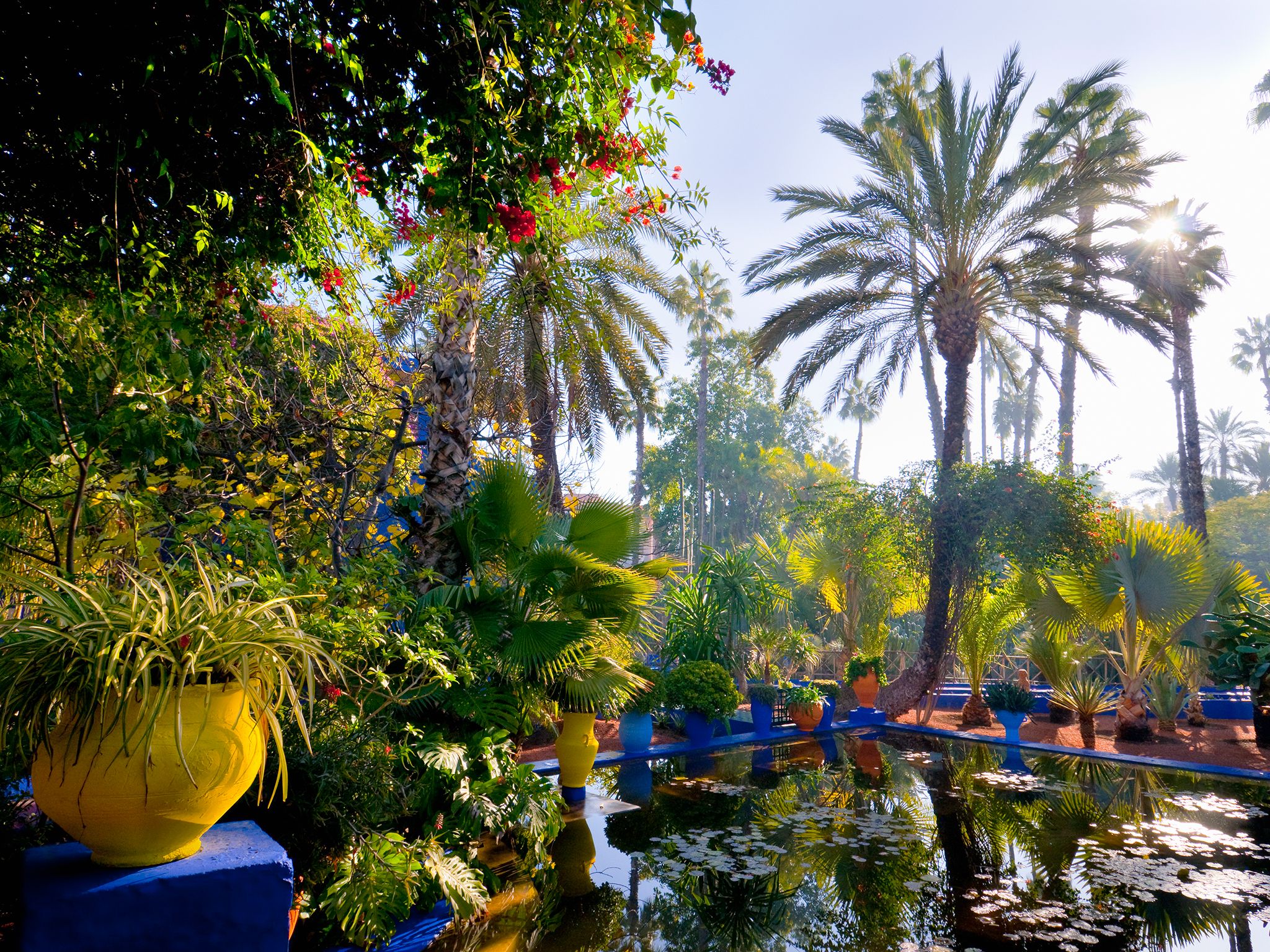 Majorelle Garden