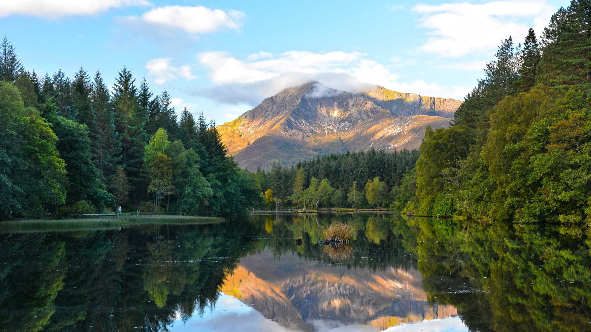 Glencoe