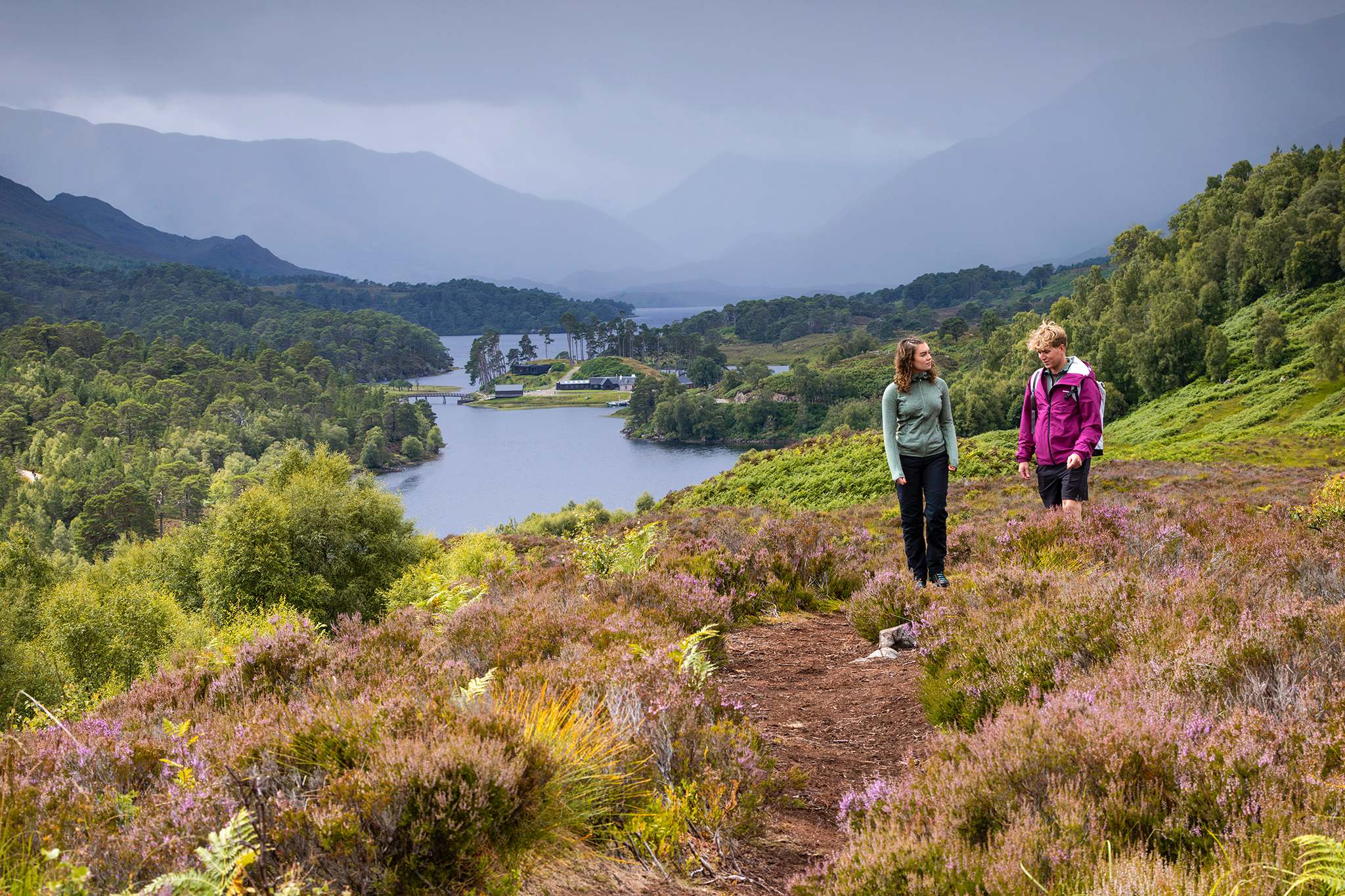 المرتفعات الأسكتلندية