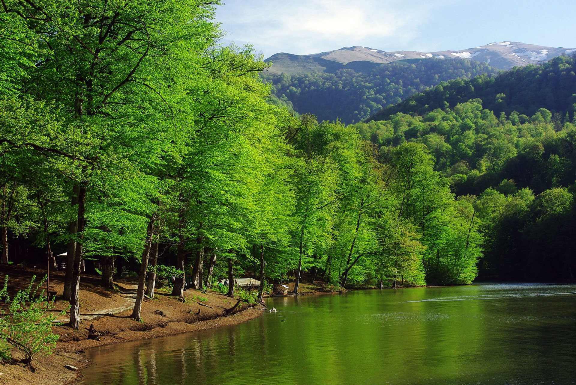 Dilijan National Park