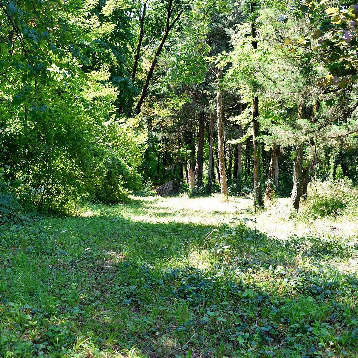 Ijevan Dendropark