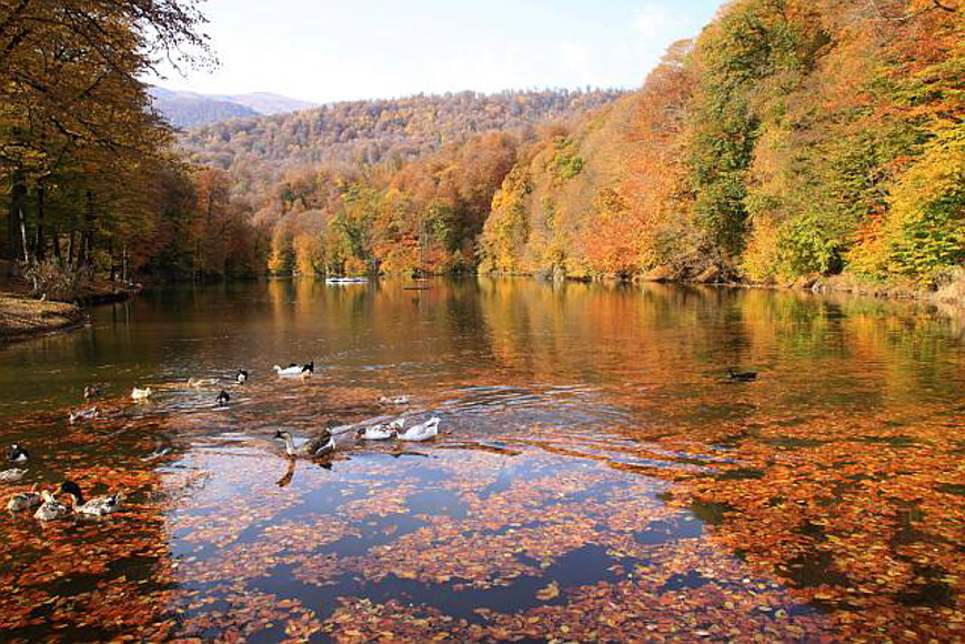 Parz Lake