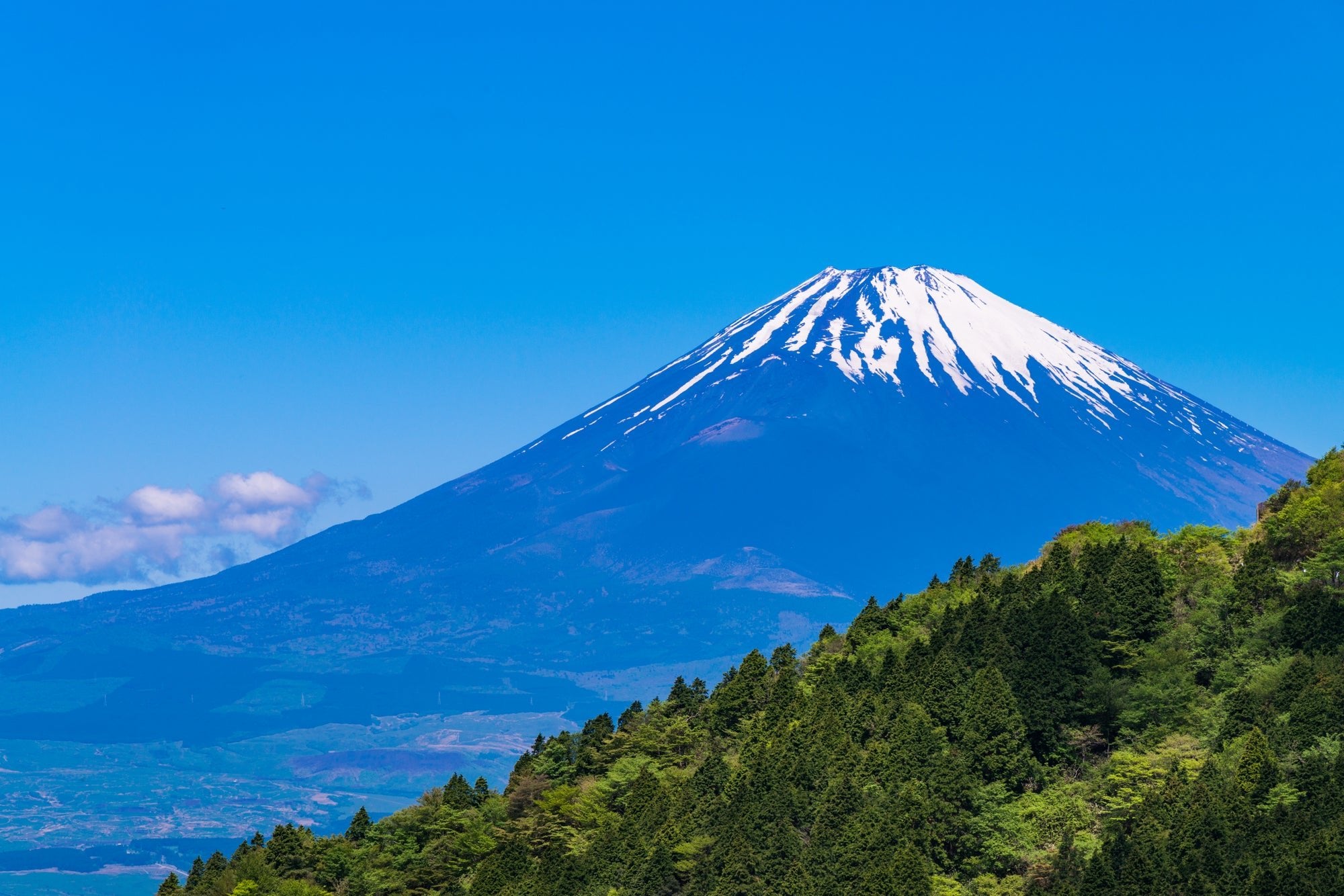 Mount Kintoki
