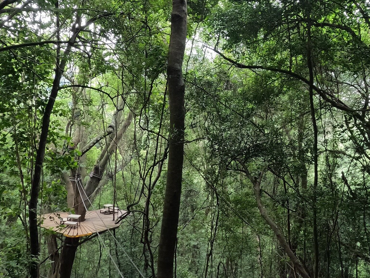 Drakensberg Canopy Tour
