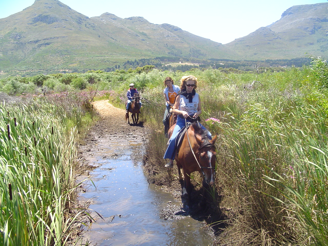 Drakensberg Horse Trails