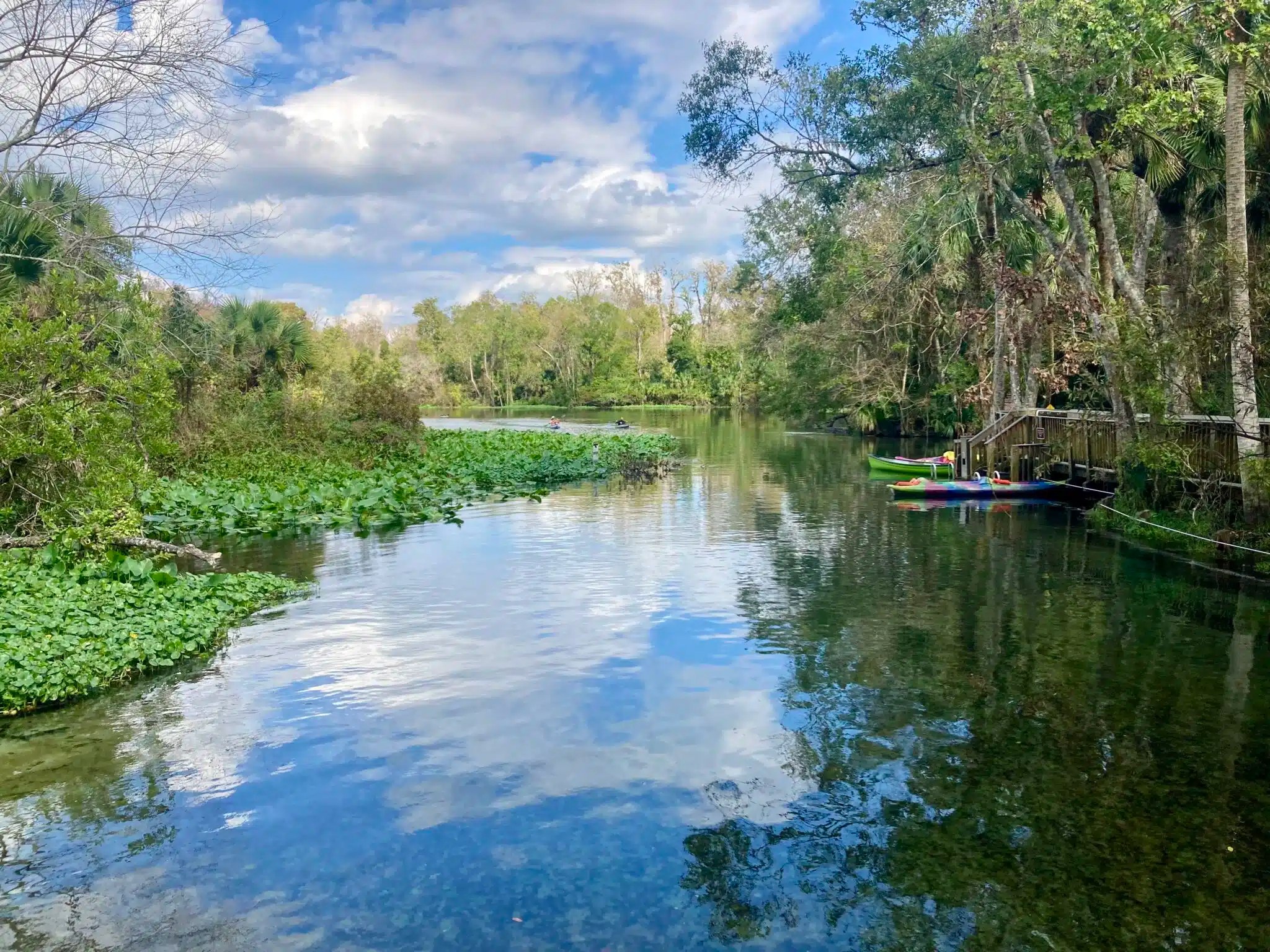 Wekiwa Springs State Park