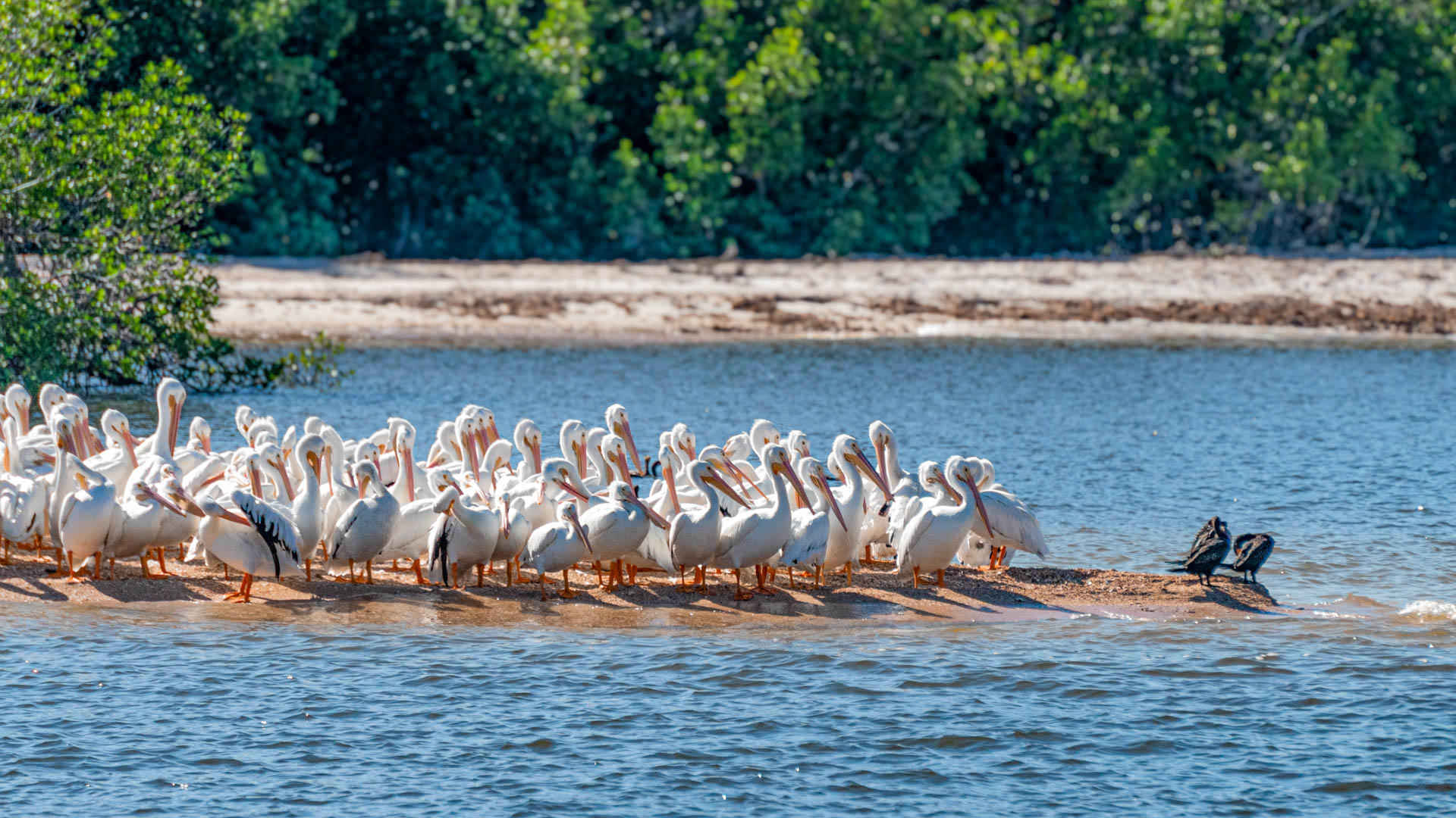 Everglades National Park