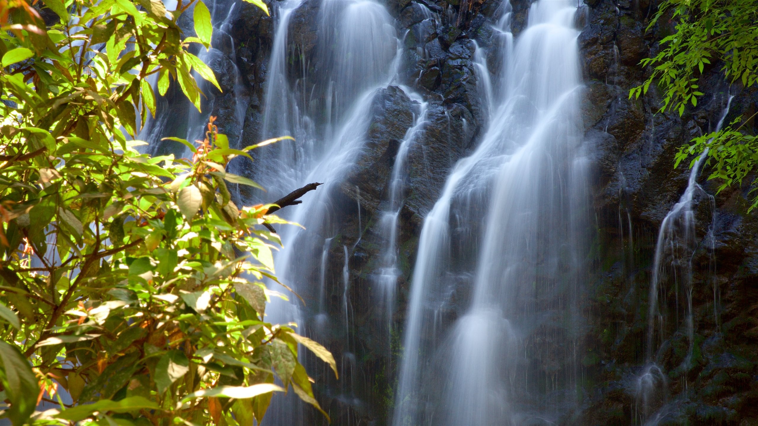Valle de Bravo Natural Reserve
