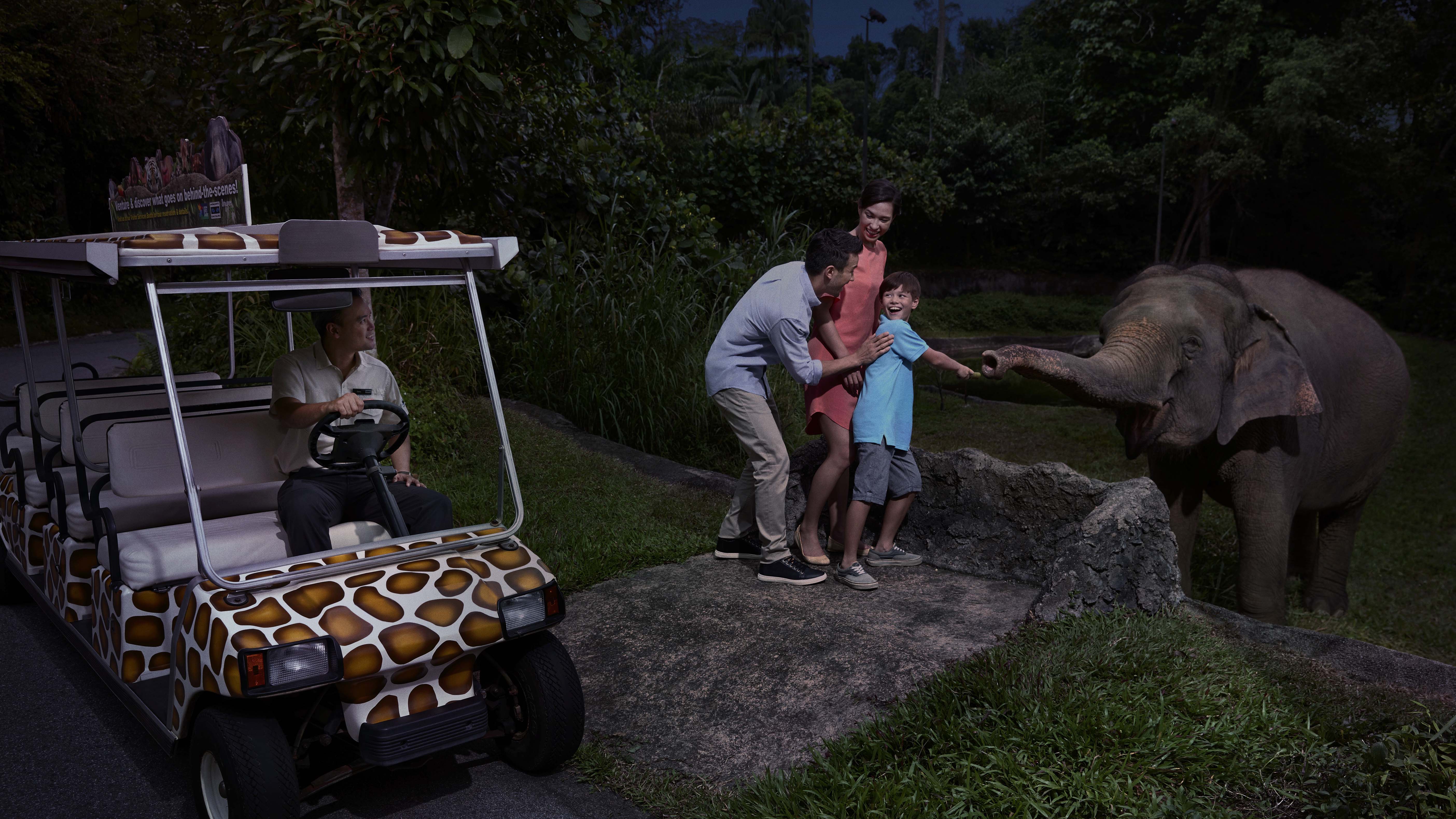 Night Safari