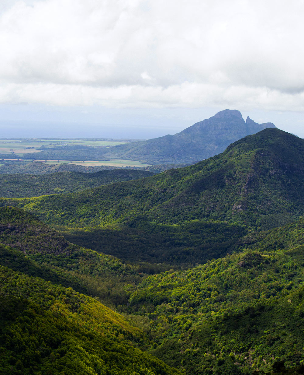 Black River Gorges National Park