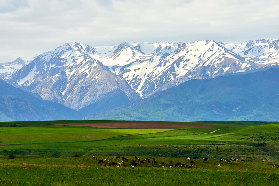 Aksu-Zhabagly Nature Reserve