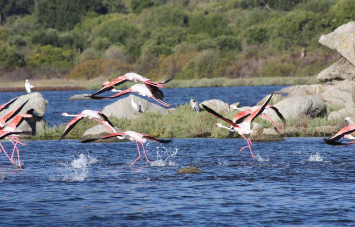 Laguna di San Teodoro