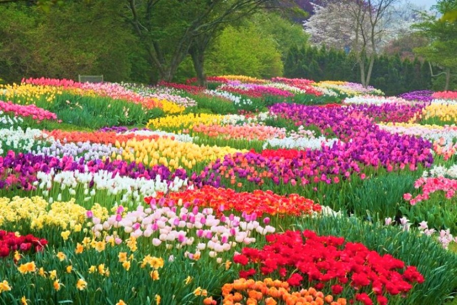 Da Lat Flower Park