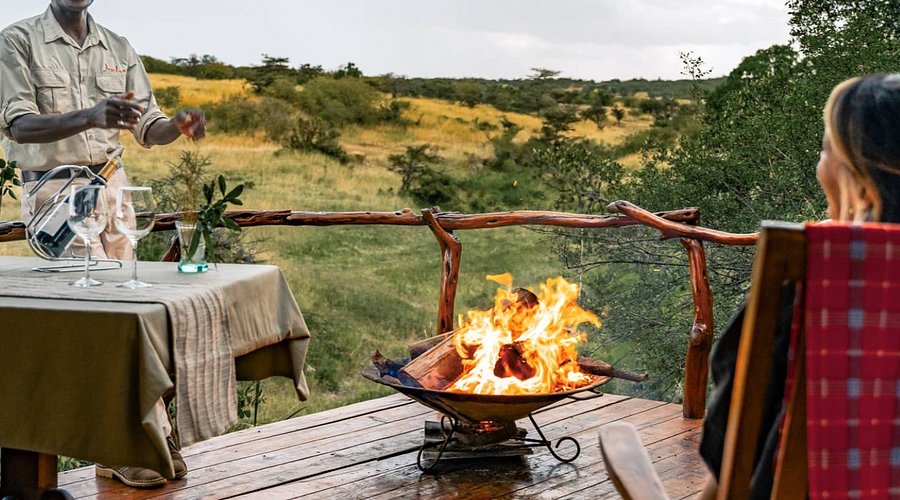 Afternoon Game Drive Focusing on Big Cats